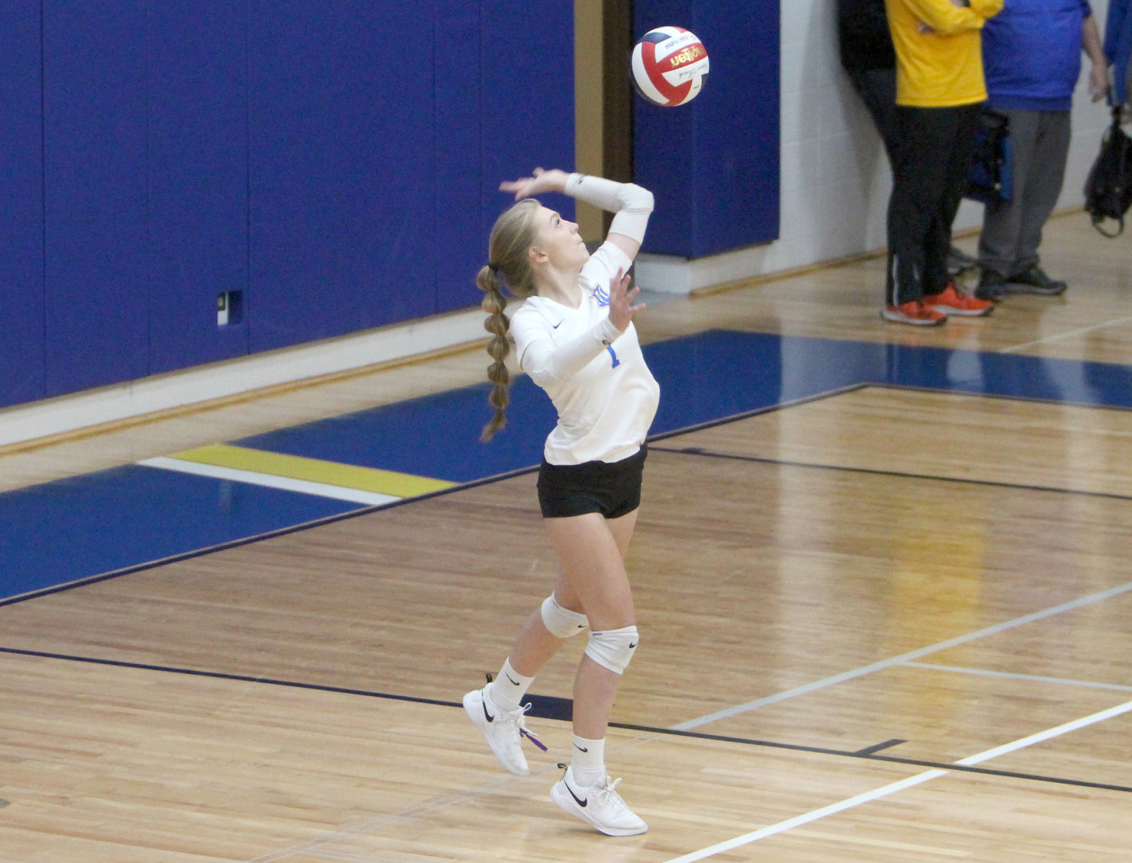 Eau Claire Immanuel Lutheran at McDonell volleyball 10-26-19